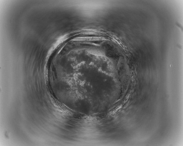 X0000095510343200712281443