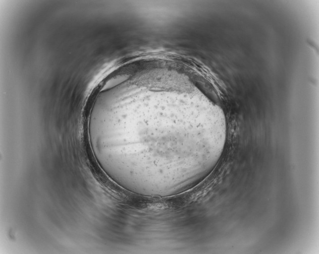 X0000095510344200712281443