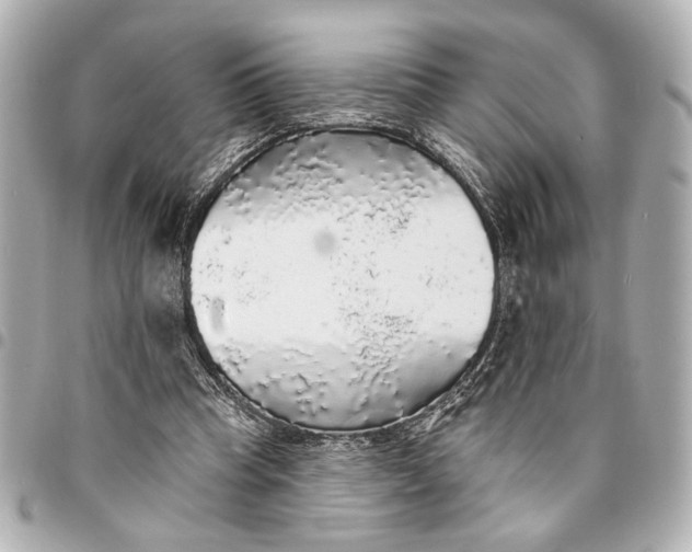 X0000095510345200712281443