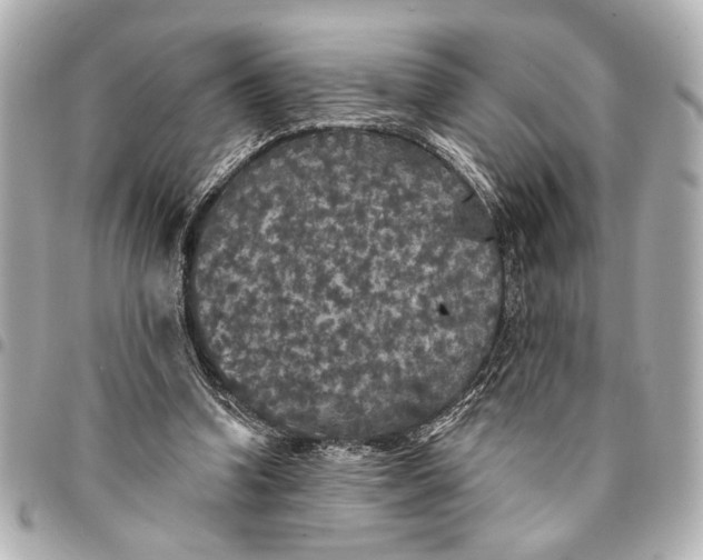 X0000095510346200712281443