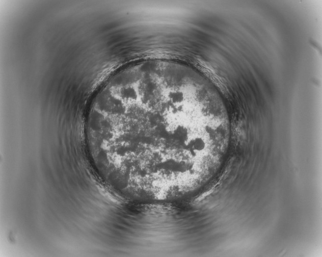 X0000095510347200712281443
