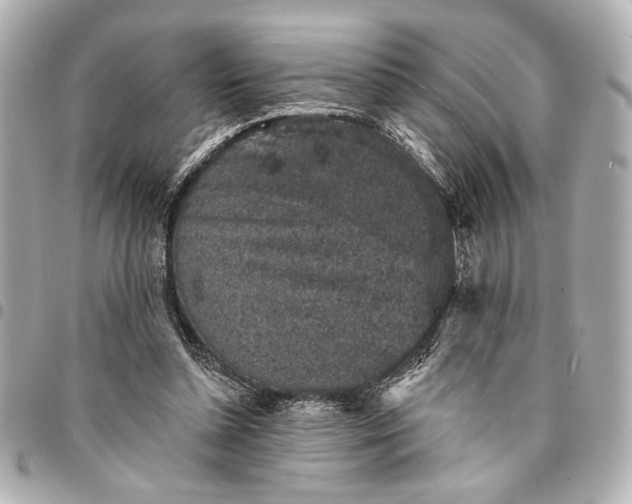 X0000095510348200712281443