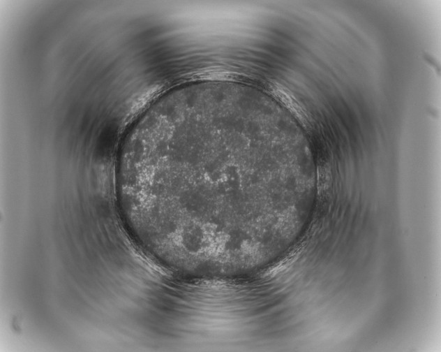 X0000095510349200712281443