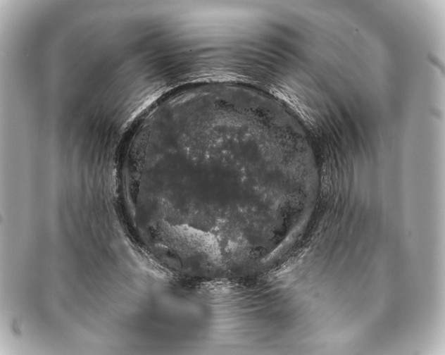 X0000095510351200712281443
