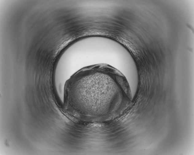 X0000095510352200712281443