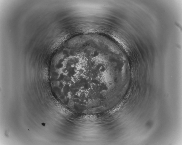 X0000095510353200712281443