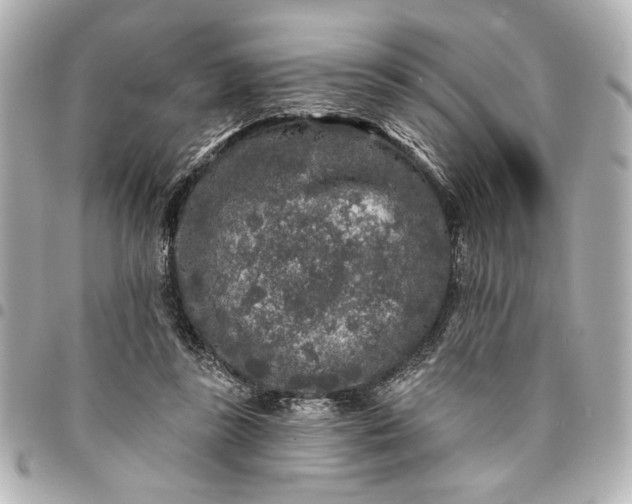 X0000095510355200712281443