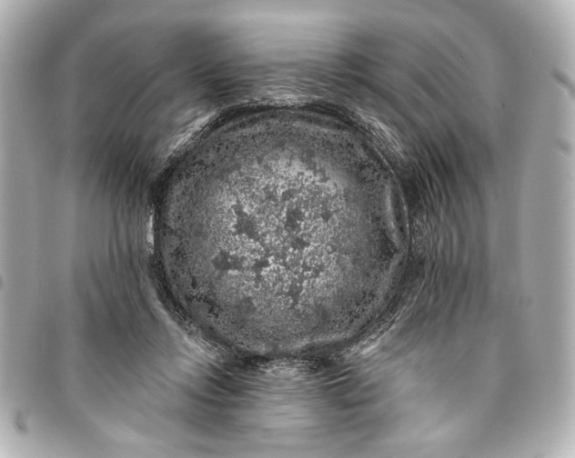 X0000095510358200712281443