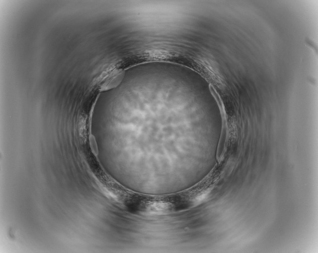 X0000095510360200712281443