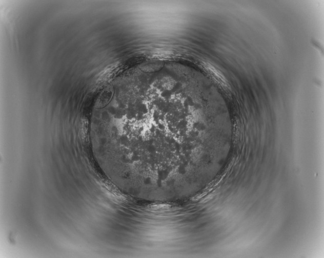 X0000095510361200712281443