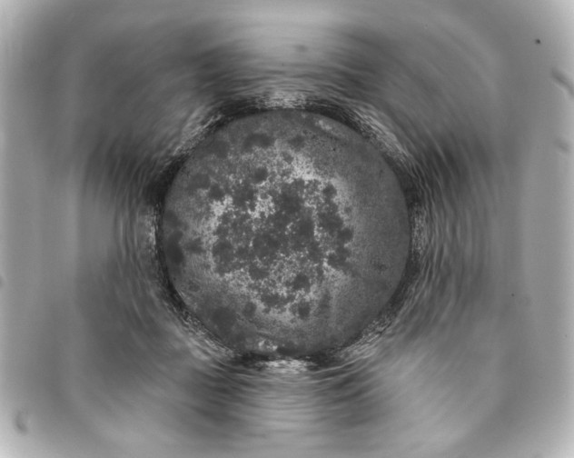 X0000095510363200712281443