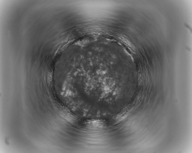 X0000095510365200712281443