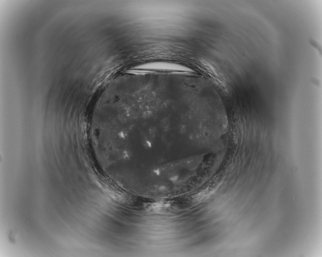X0000095510366200712281443