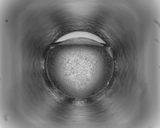 X0000095510368200712281443