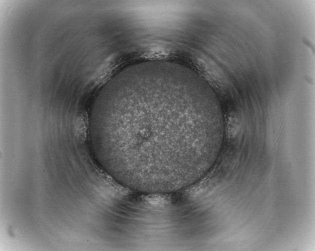 X0000095510370200712281443