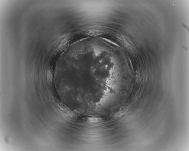 X0000095510371200712281443