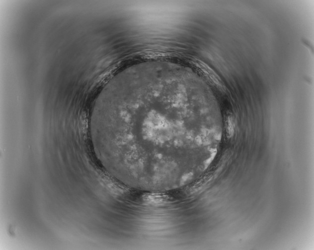 X0000095510372200712281443