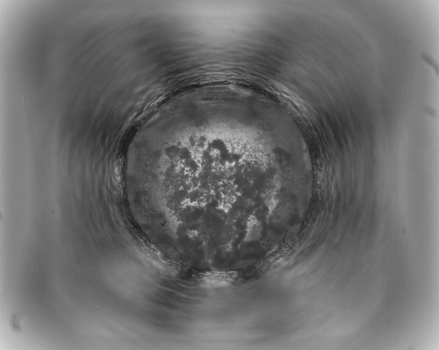 X0000095510373200712281443