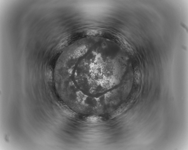 X0000095510375200712281443