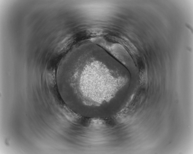 X0000095510376200712281443