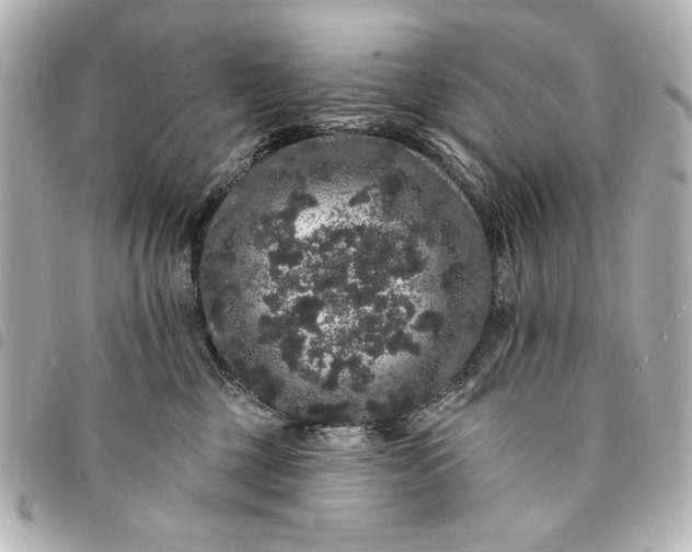 X0000095510377200712281443