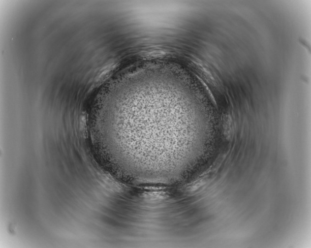 X0000095510378200712281443