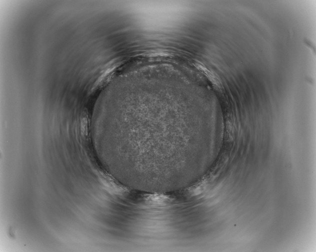 X0000095510379200712281443