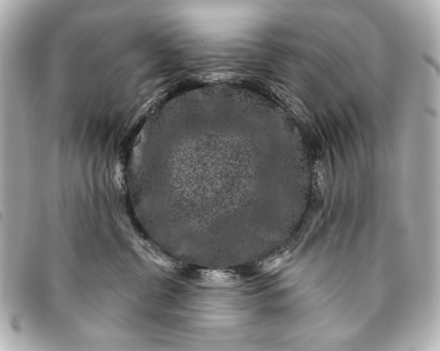 X0000095510380200712281443