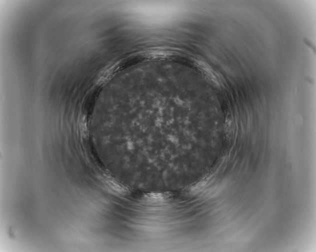 X0000095510381200712281443