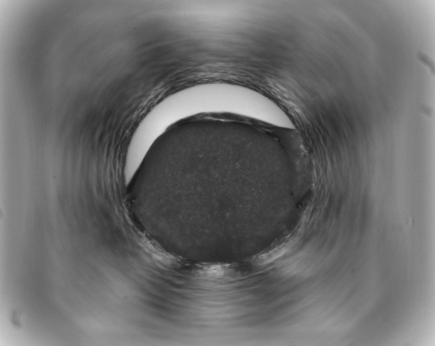 X0000095510382200712281443