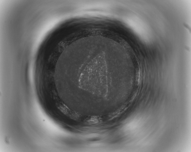 X0000095510383200712281443