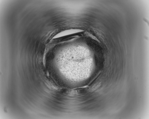 X0000095510384200712281443