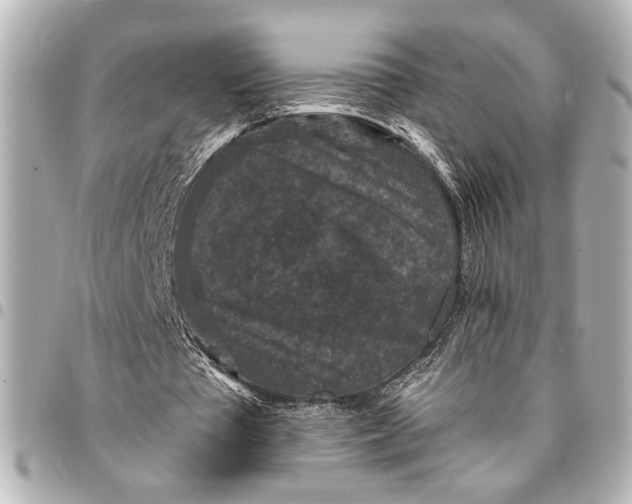 X0000095510385200712281443