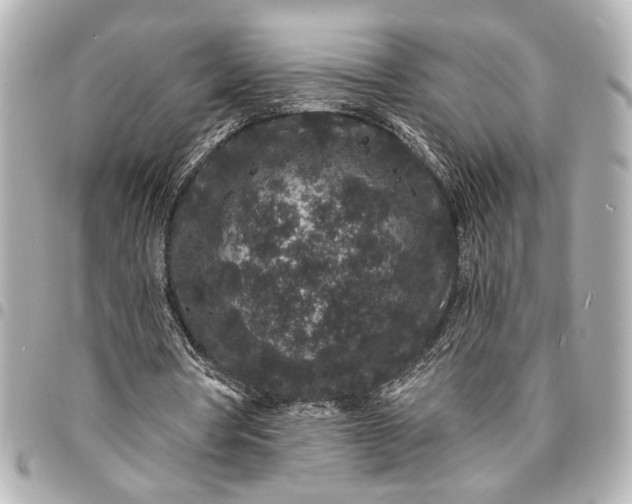 X0000095510386200712281443