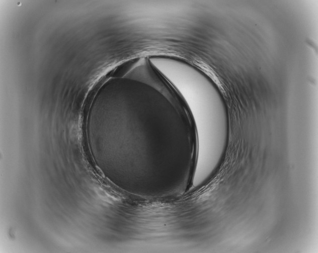 X0000095510387200712281442