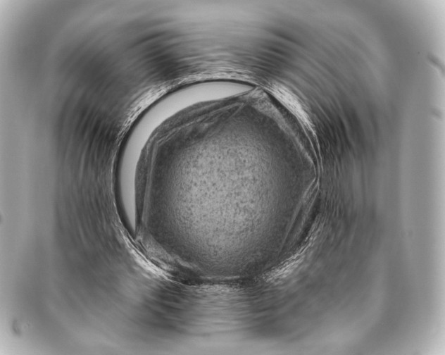 X0000095510389200712281442