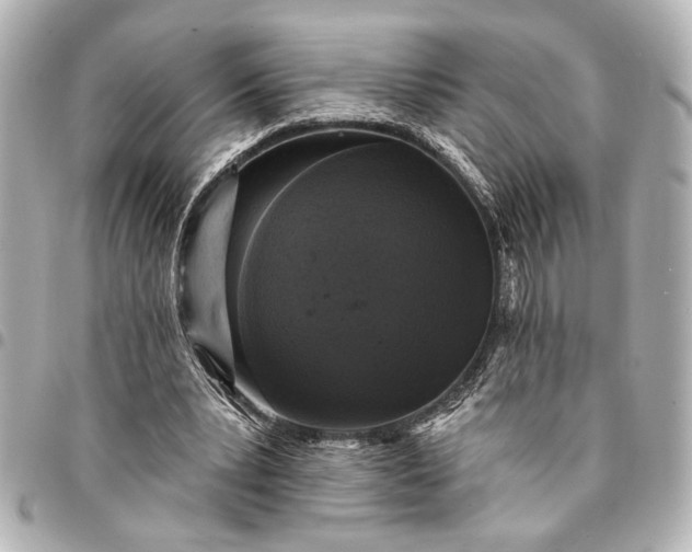 X0000095510391200712281442