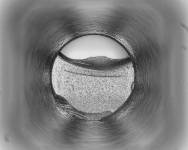 X0000095510393200712281442