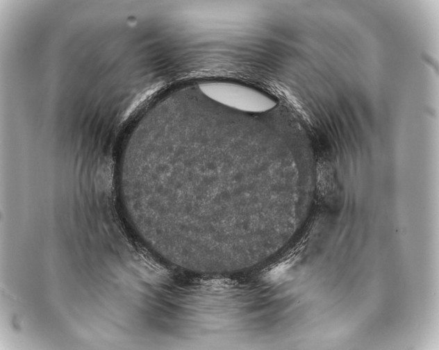 X0000095510396200712281442