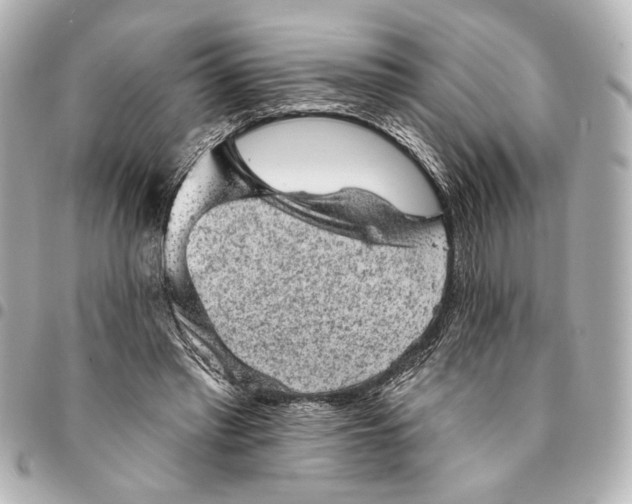 X0000095510397200712281442
