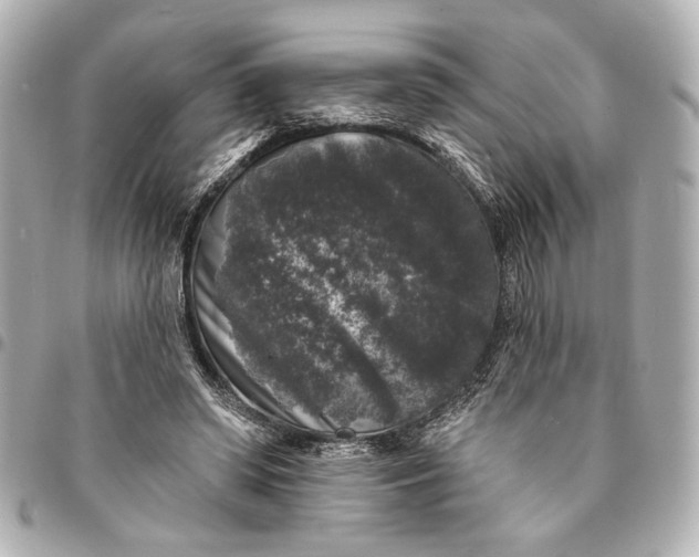 X0000095510398200712281442