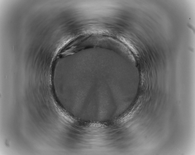 X0000095510399200712281442
