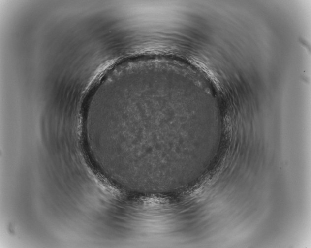 X0000095510400200712281442