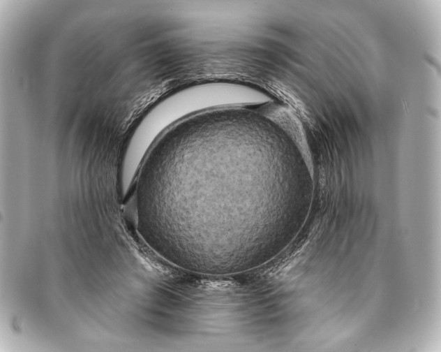 X0000095510401200712281442