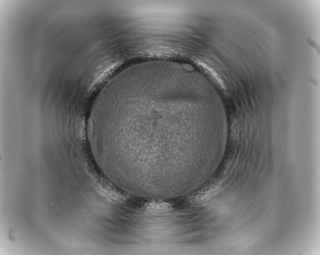 X0000095510403200712281442