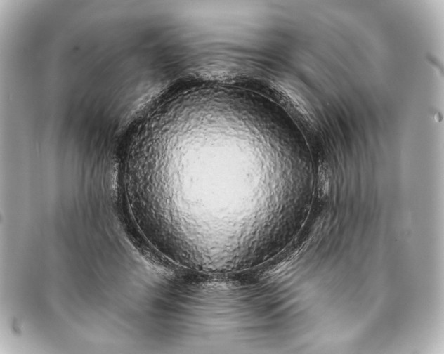 X0000095510404200712281442