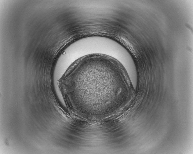 X0000095510405200712281442