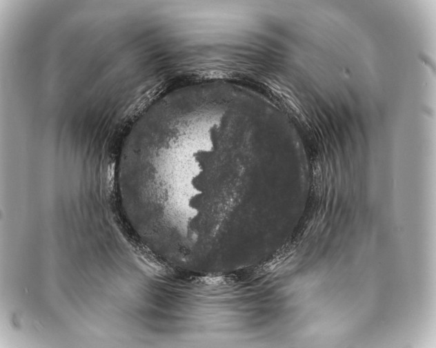 X0000095510406200712281442