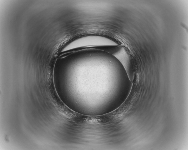 X0000095510407200712281442