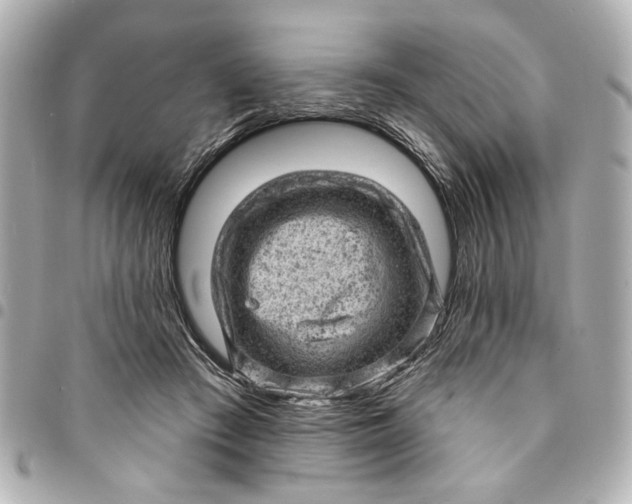 X0000095510409200712281442
